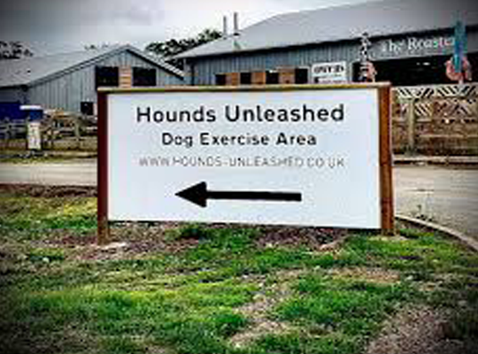 Hounds Unleashed | Secure Dog Park Ivybridge