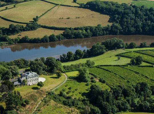 Sharpham Winery